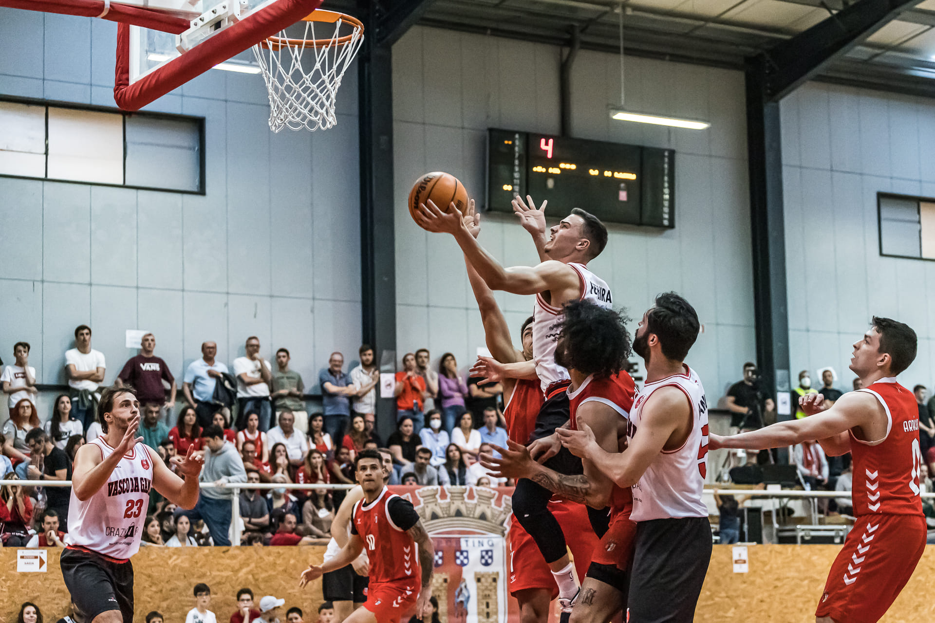 Sporting Clube de Portugal - Basquetebol