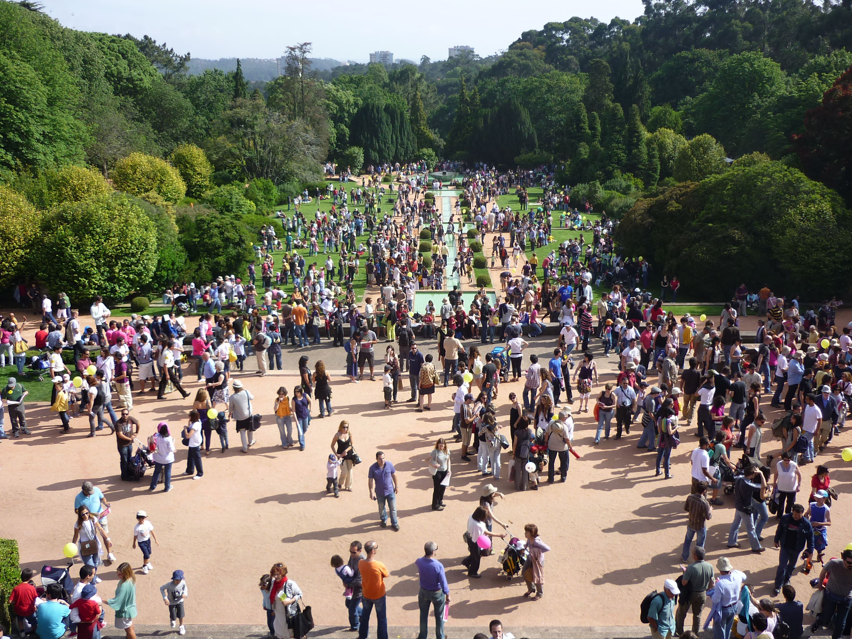 Serralves em Festa está de volta após três anos de ausência forçada